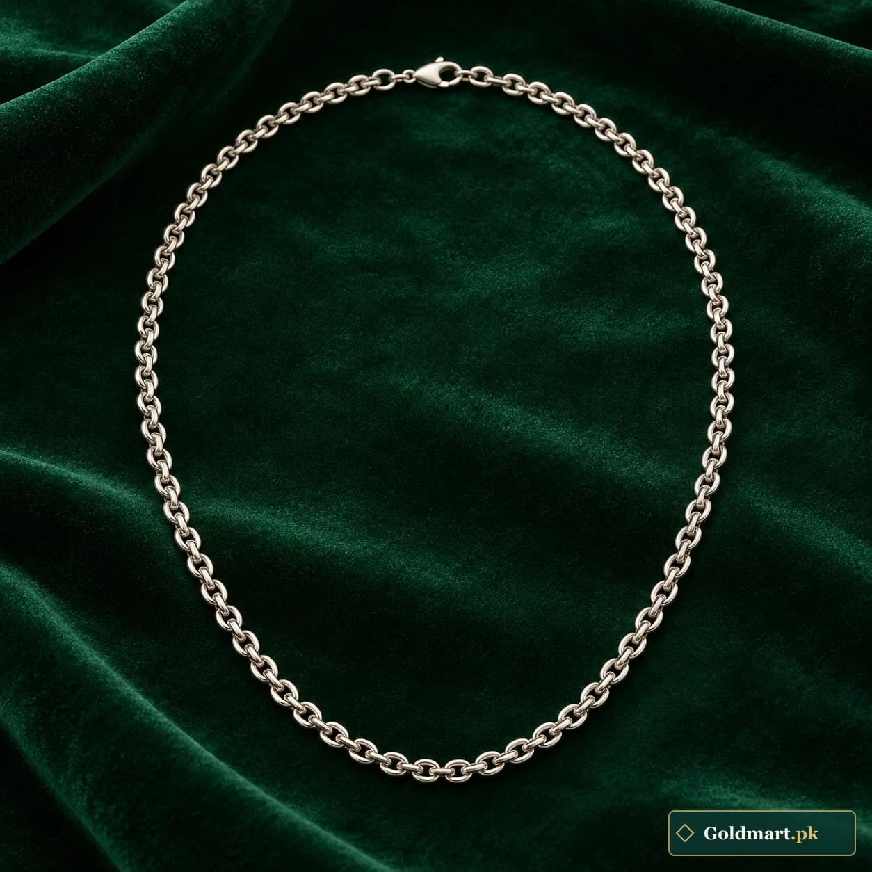 Aadil Double-Link Chain: an unadorned silver-tone neck chain with paired small rounded links